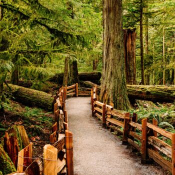Pacific Rim Nationalpark-Tofino-Vancouver Island-Westkanada